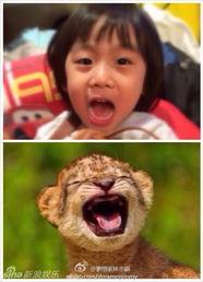 羊仔爆料花絮大全最新视频,最新视频精彩瞬间大揭秘 第3张 羊仔爆料花絮大全最新视频,最新视频精彩瞬间大揭秘 第3张