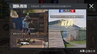 和平精英最新爆料解析,全新玩法与角色揭秘