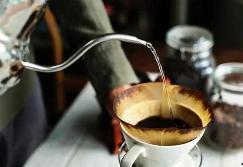 爆料视频 咖啡,从种植到冲泡的全程解析 第2张 爆料视频 咖啡,从种植到冲泡的全程解析 第2张